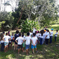 Programa Escola