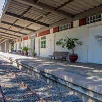 WhatsApp Image 2020 12 17 At 12.51.37 (1)