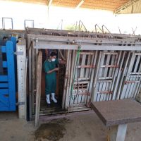 Medicina Veterinaria 6