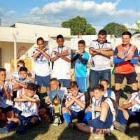 Torenio Cidade Joia 4