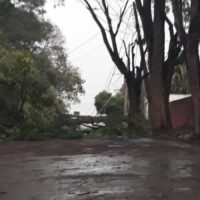 Estragos Alta Paulista (1)