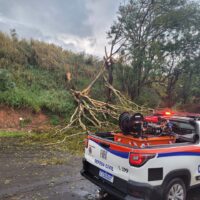 Estragos Alta Paulista (7)