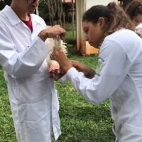 Veterinaria_treinamento_centro De Pesquisas Avicolas_bastos (1)