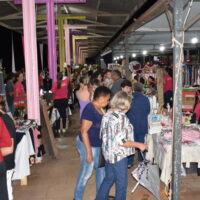 Feira Da Mulher Empreendedora Foto 1