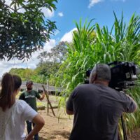 Entrevista TV Fronteira 13 04_Área Experimental De Fitotecnia (9)