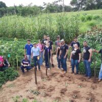 FAI Programa De Inovacao E Desenvolvimento Regional 1