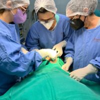 FAI Equipamento Odontológico Móvel