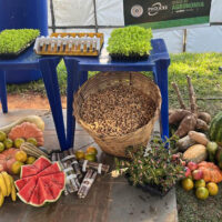 FAI Agronomia_feira_casul_2023_(3)