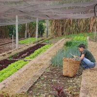 FAI Horta Solidaria 2