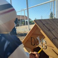 Dia Do Meio Ambiente Polícia Ambiental (3)