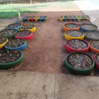 Emei Crianca Feliz 1