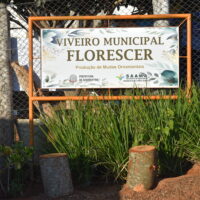 Viveiro Municipal 1