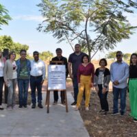 Praca Lariele Veronica Boldin 1