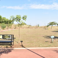 Praca Lariele Veronica Boldin 3