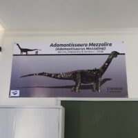 FAI Laboratorio De Geologia 3