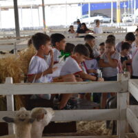 ExpoVerde Recebe Escolas