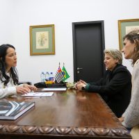Encontro Com Primeira Dama Do Estado 8