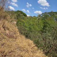 FAI Projeto Brotas 4