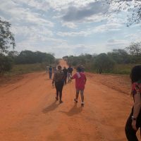 FAI VISITA+EM+ÁREA+REFLORESTADA