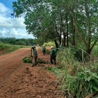 Manutencao De Estradas Rurais 1