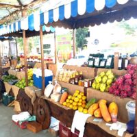 QualiAgro5