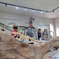 Adamantisauros 10