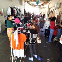 Arara Solidaria 4