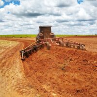 Dia Do Agricultor 2