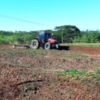 Dia Do Agricultor 3
