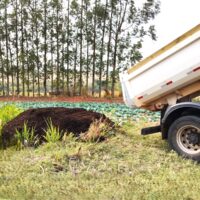 Dia Do Agricultor 6