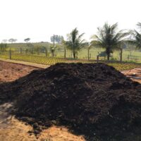 Dia Do Agricultor 7