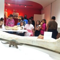 Museu 5