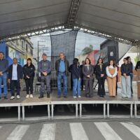 Desfile 8