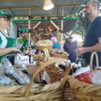 Feira 1