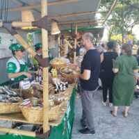 Feira 2