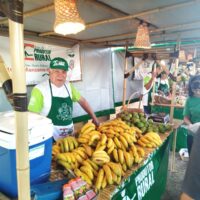 Feira 3