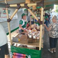 Feira 7